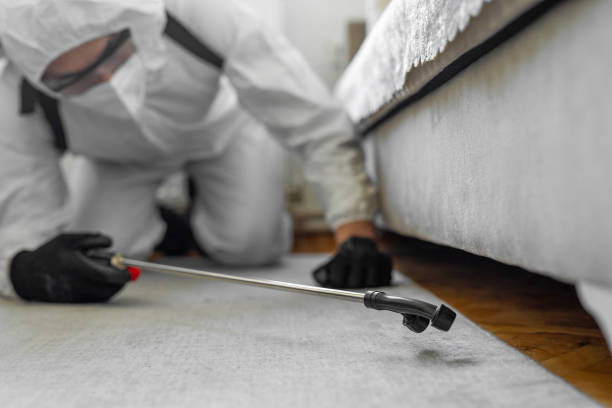 Professional Ant Control technician working in Higganum, CT